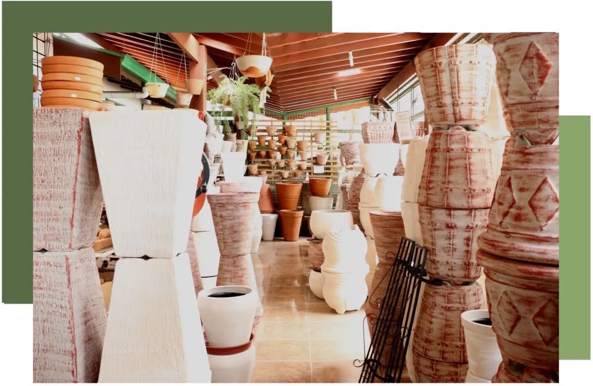 Estrutura da São Carlos Casa e Jardim com variedade de vasos